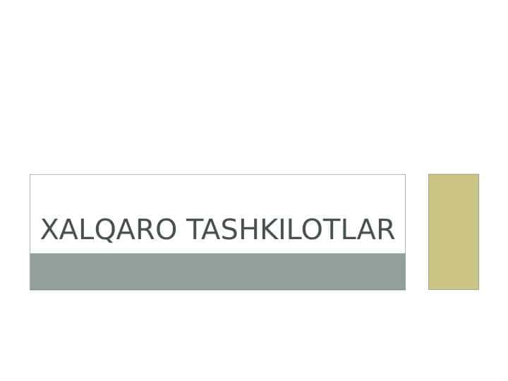 Xalqaro tashkilotlar