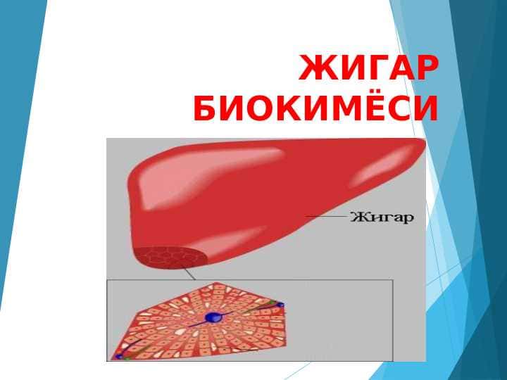 ЖИГАР БИОКИМЁСИ