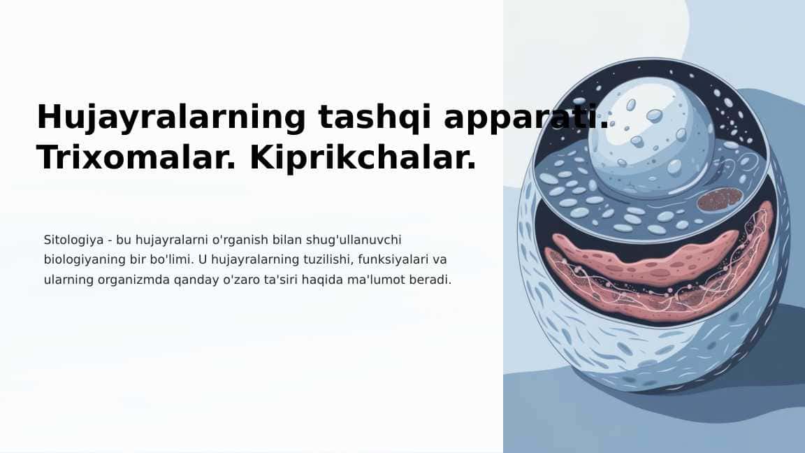 Hujayralarning tashqi apparati. Trixomalar. Kiprikchalar.