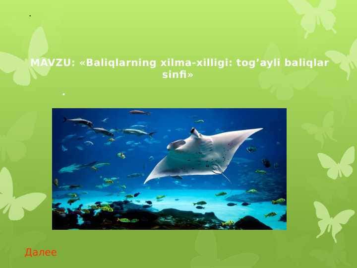 Baliqlarning xilma-xilligi: tog’ayli baliqlar sinfi
