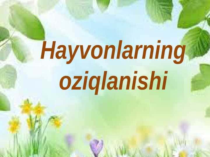 Hayvonlarning oziqlanishi
