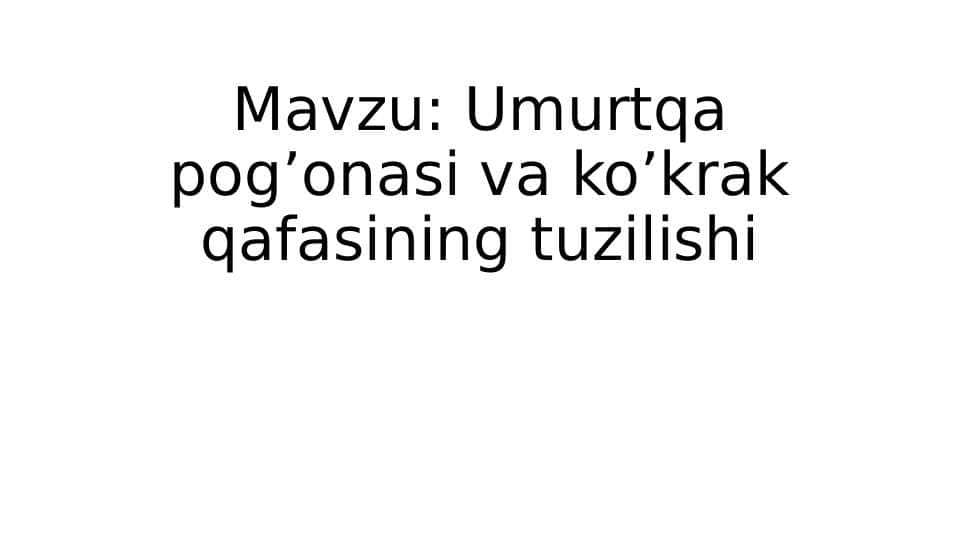Umurtqa pog’onasi va ko’krak qafasining tuzilishi