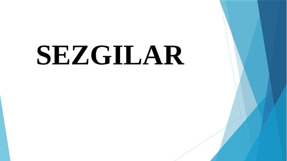 SEZGILAR