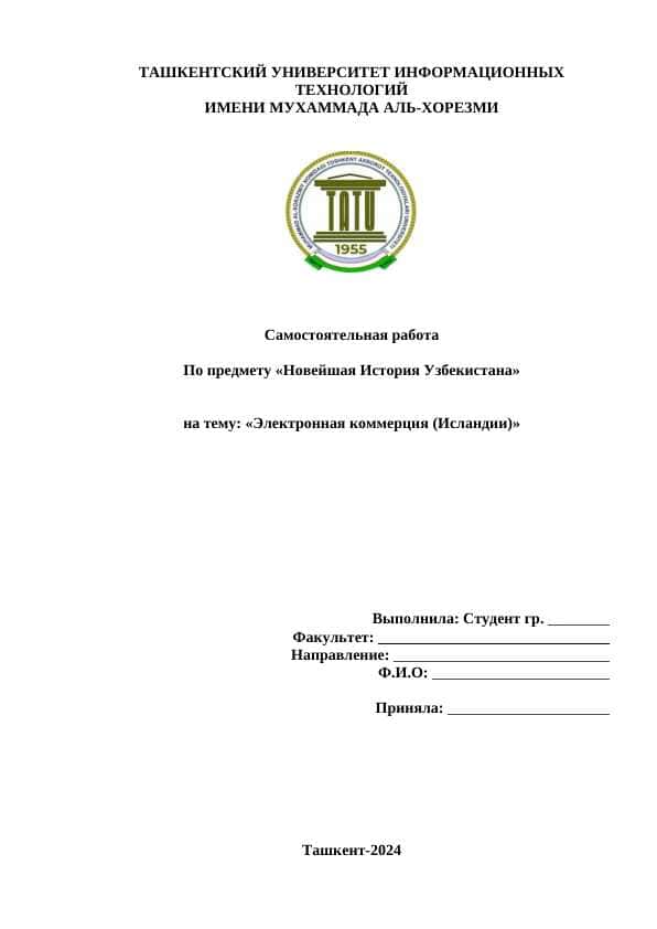 Электронная коммерция (Исландии).docx