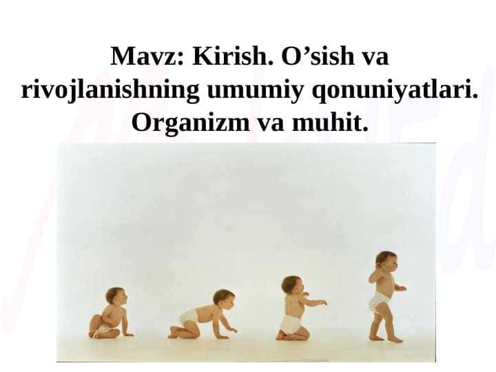 O’sish va rivojlanishning umumiy qonuniyatlari. Organizm va muhit