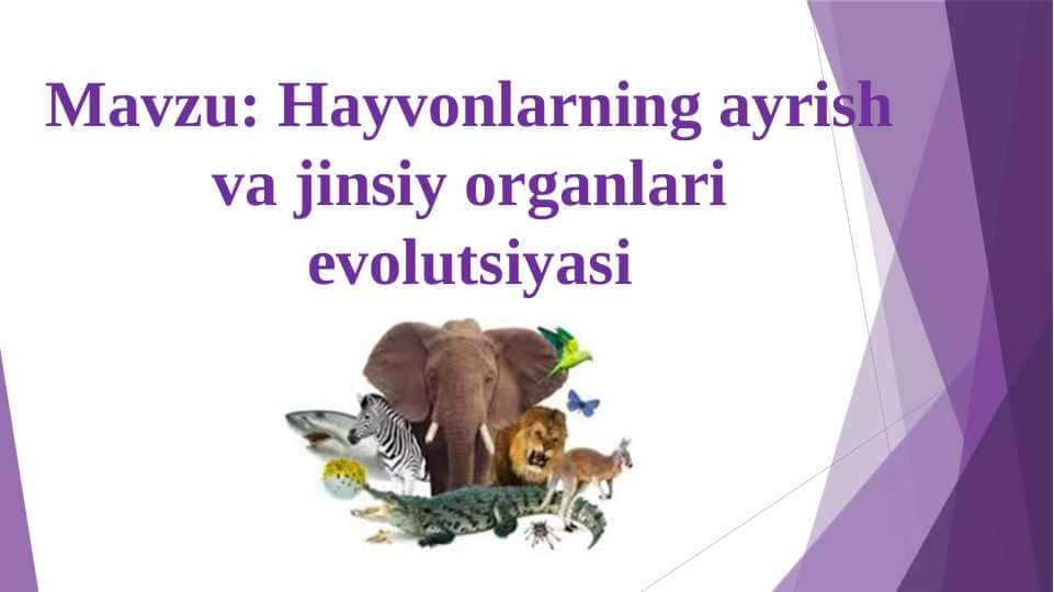 Hayvonlarning ayrish va jinsiy organlari evolutsiyasi