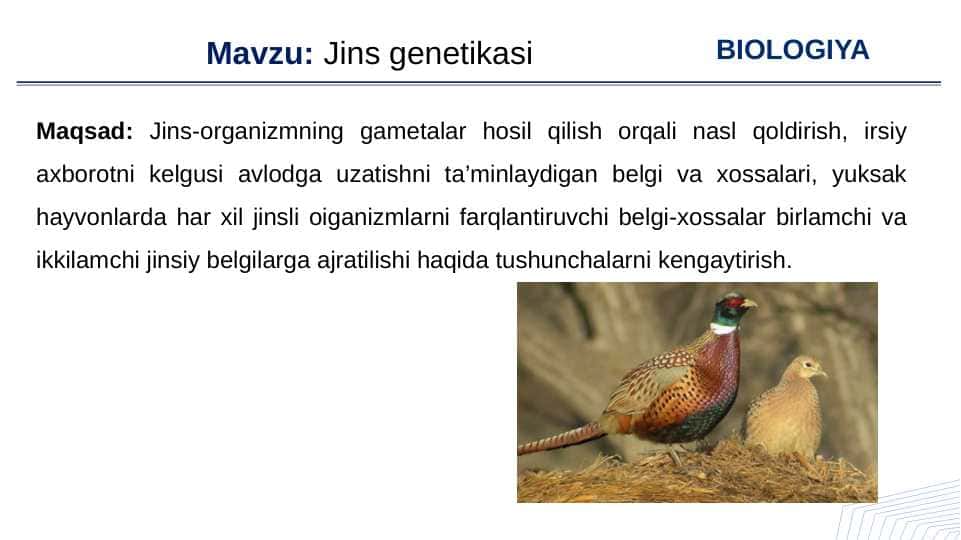 Jins genetikasi