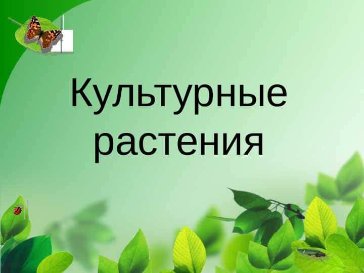 Культурные растения
