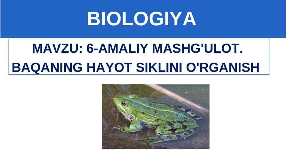 BAQANING HAYOT SIKLINI O'RGANISH