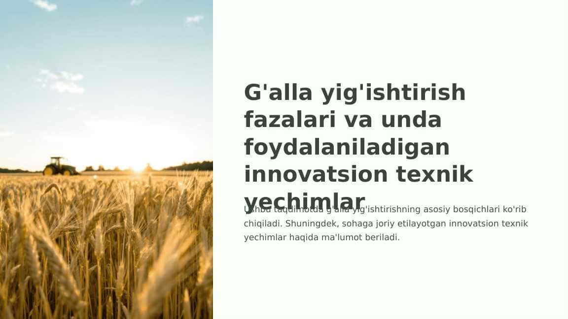 G'alla yig'ishtirish fazalari va unda foydalaniladigan innovatsion texnik yechimlar