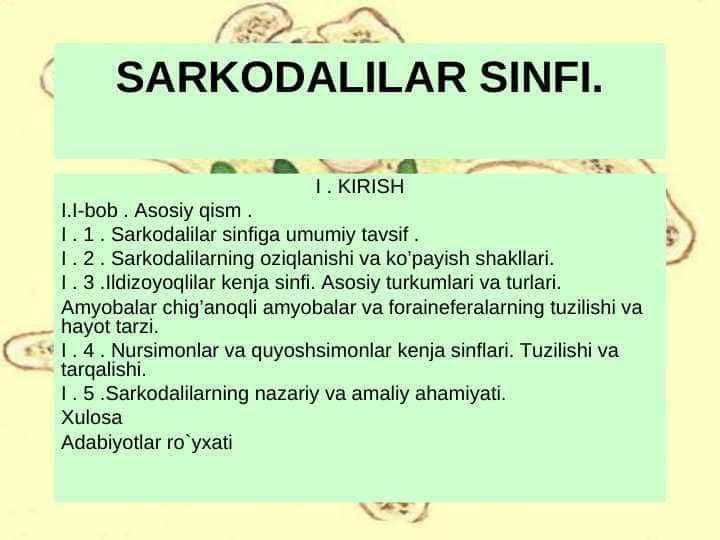 SARKODALILAR SINFI.
