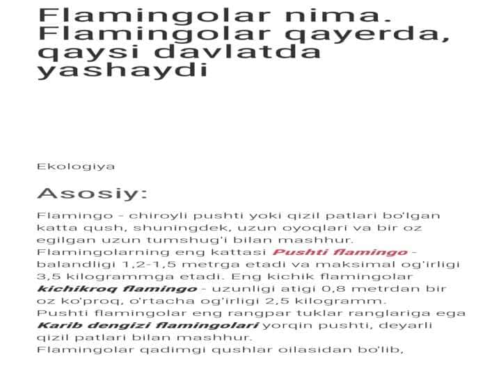 flomingo
