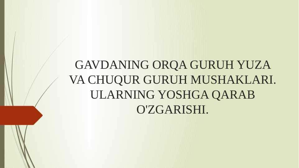 GAVDANING ORQA GURUH YUZA VA CHUQUR GURUH MUSHAKLARI. ULARNING YOSHGA QARAB O'ZGARISHI.