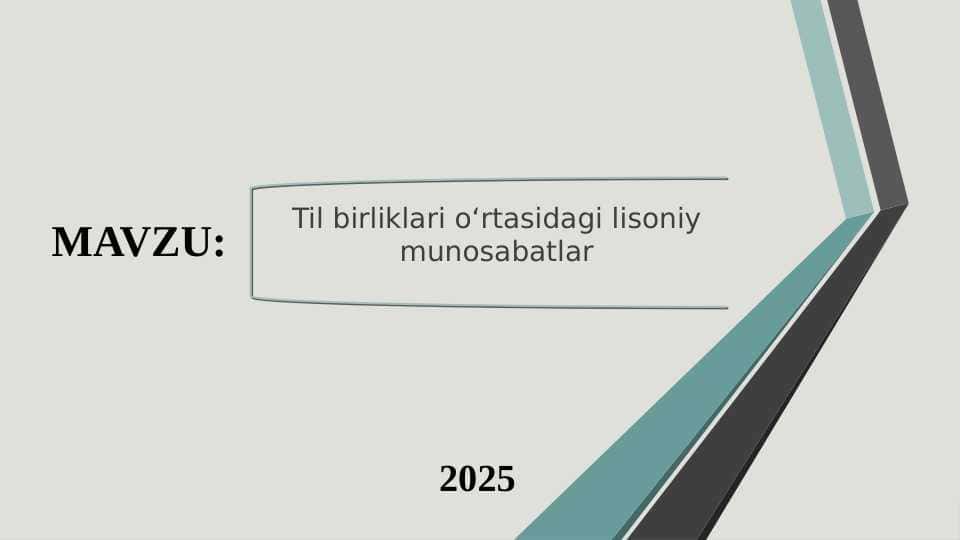 Til birliklari o‘rtasidagi lisoniy munosabatlar