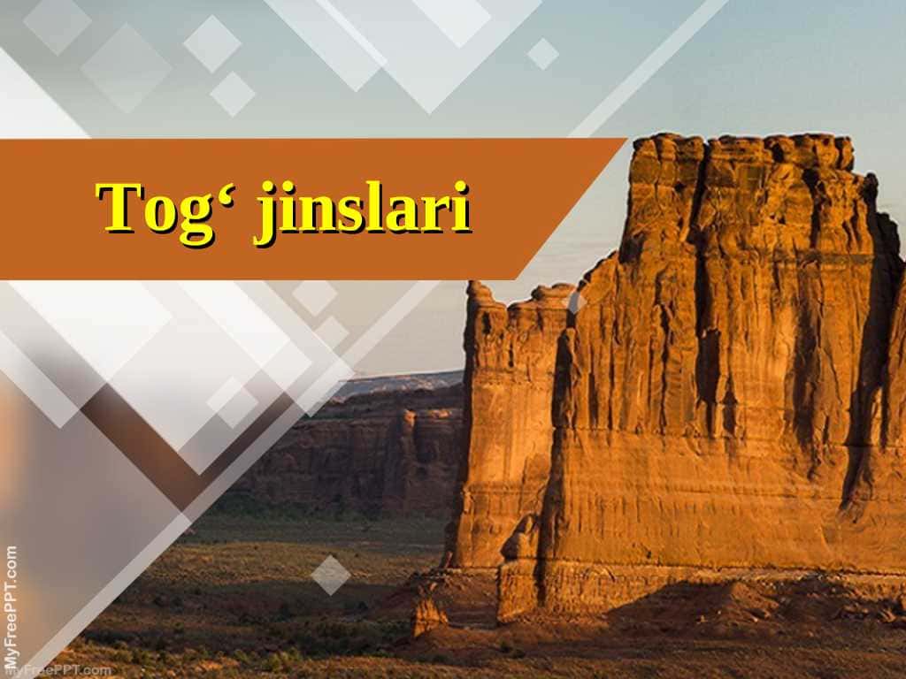 Tog‘ jinslari