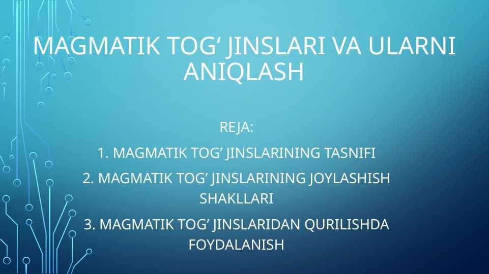 Magmatik togʻ jinslari