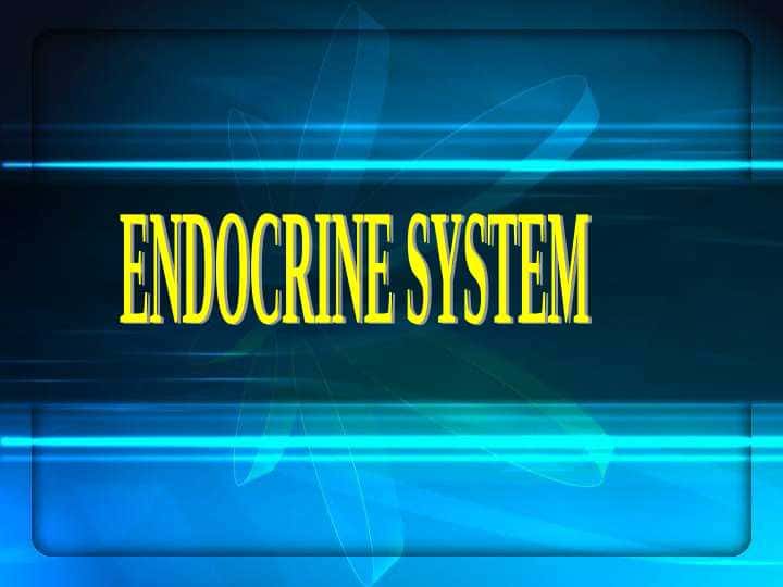 ENDOCRINE SYSTEM