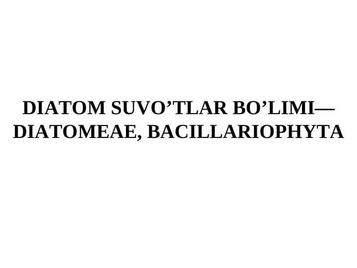 Diatom suvo'tlar bo'limi