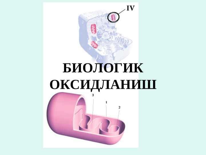 БИОЛОГИК ОКСИДЛАНИШ