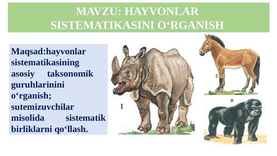 HAYVONLAR SISTEMATIKASINI O‘RGANISH