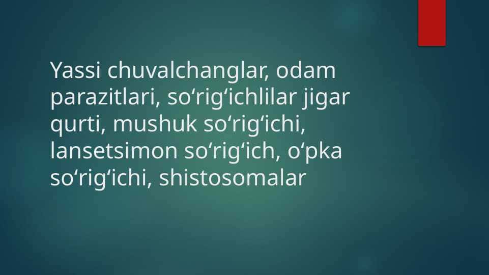 YASSI CHUVALCHANGLAR ODAM PARAZITLARI SO'RIG'ICHLILAR JIGAR QURTI MUSHUK SO'RIG'ICHI LANSETSIMON SO'RIG'ICH