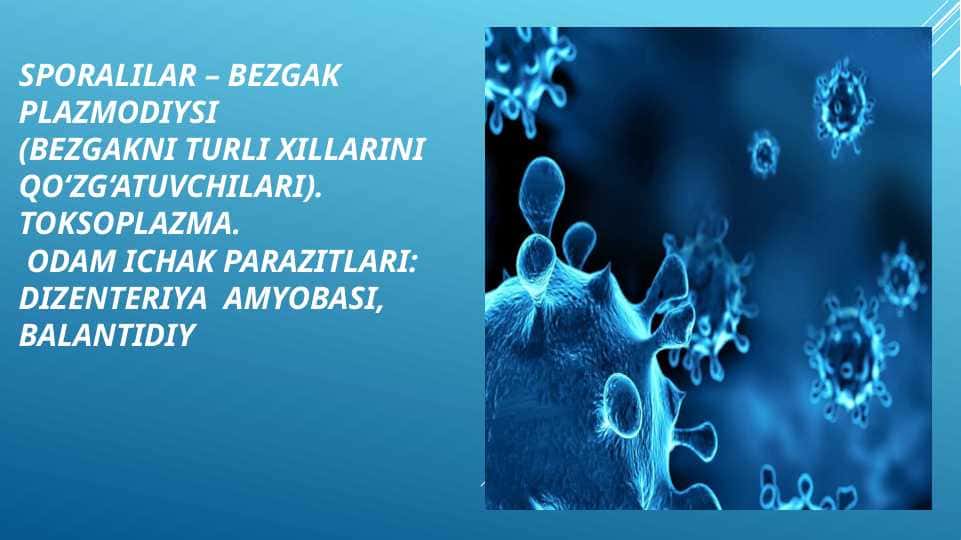 Sporalilar bezgak plazmodiysi toksoplazma odam ichak parazitlari