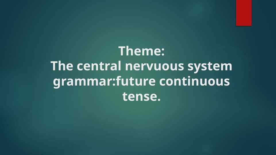 The central nervuous system grammar. future continuous tense.