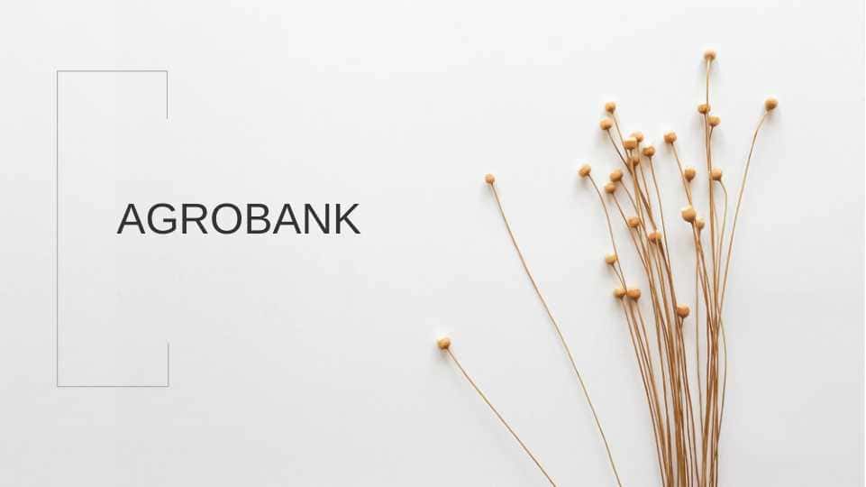 AGROBANK PREZENTATSIYA