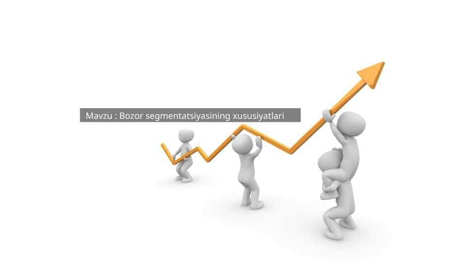 Bozor segmentatsiyasining xususiyatlari