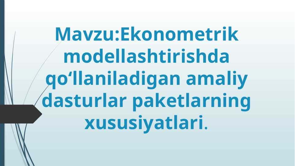 ekodrometrik modellashtirishda qo'llaniladigan amaliy dasturlar