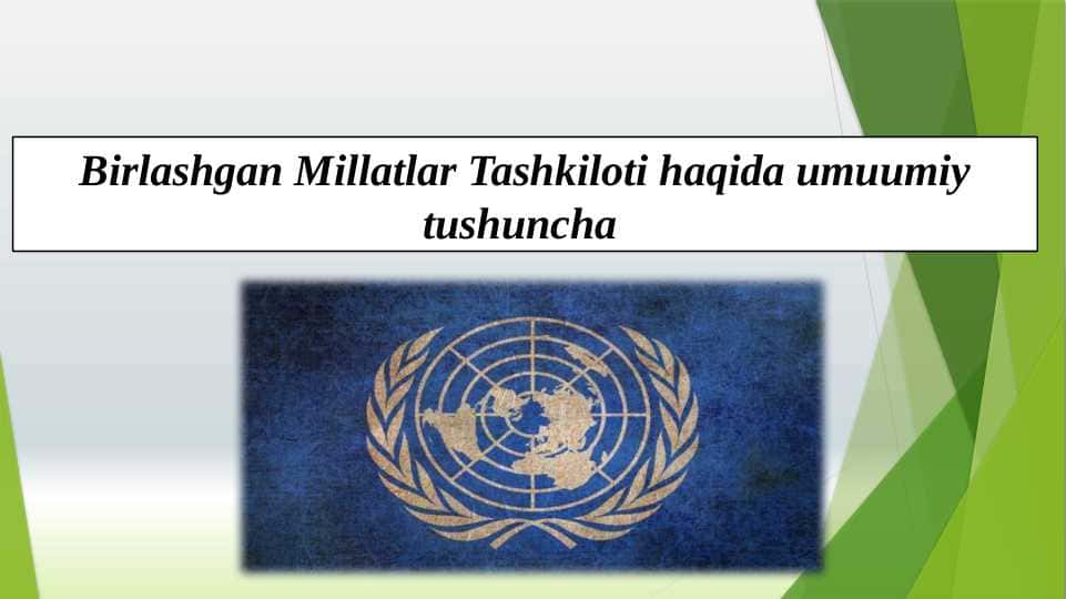Birlashgan Millatlar Tashkiloti haqida umuumiy tushuncha
