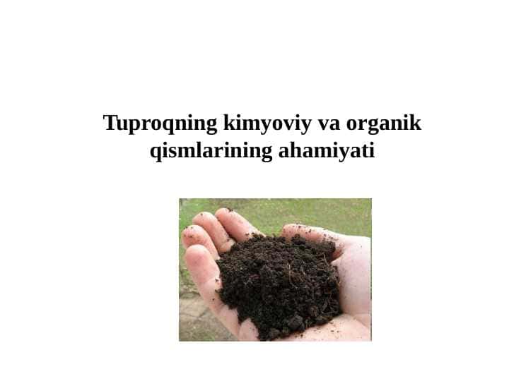 Tuproqning kimyoviy va organik qismlarining ahamiyati