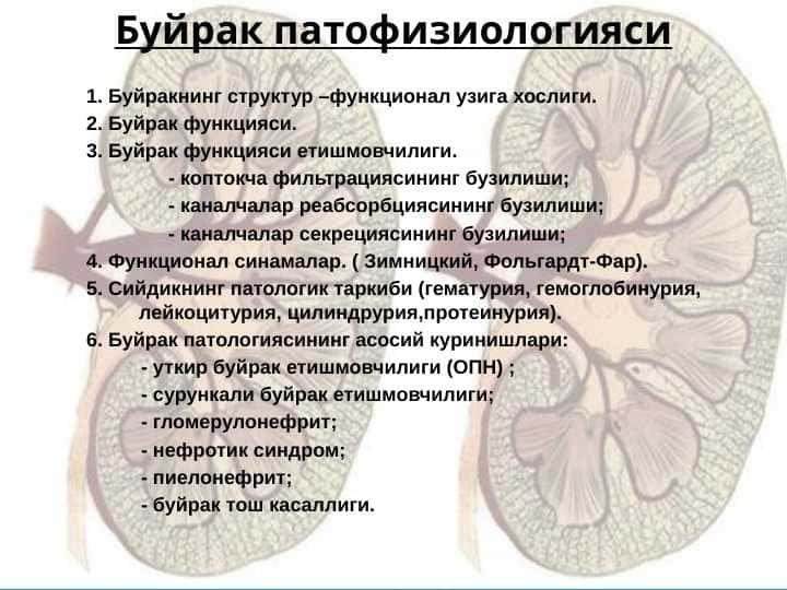 Буйрак патофизиологияси