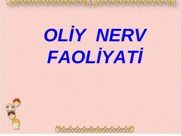 OLİY NERV FAOLİYATİ