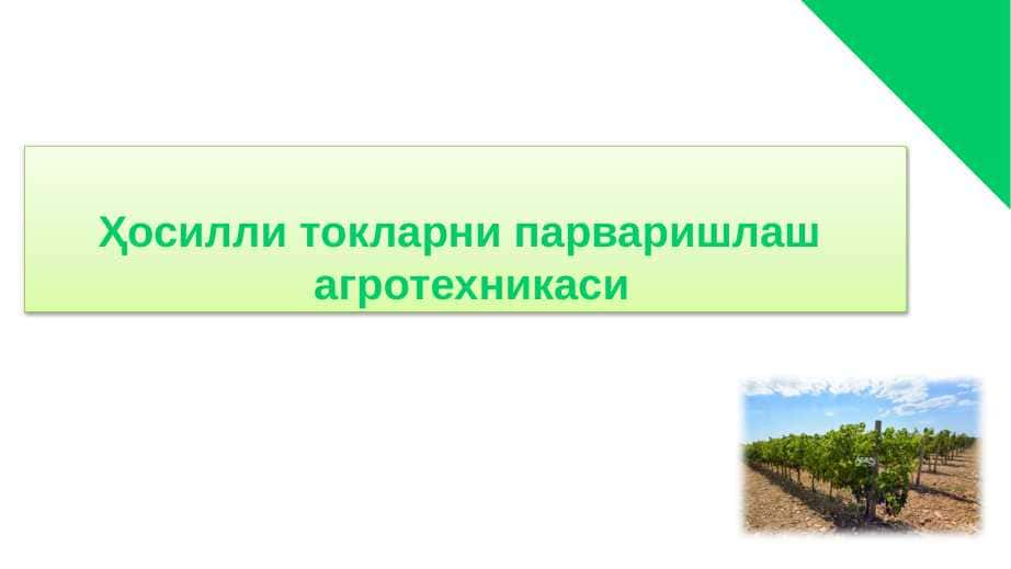 XOSILLI TOKLARNI PARVARISHLASH AGROTEXNIKASI