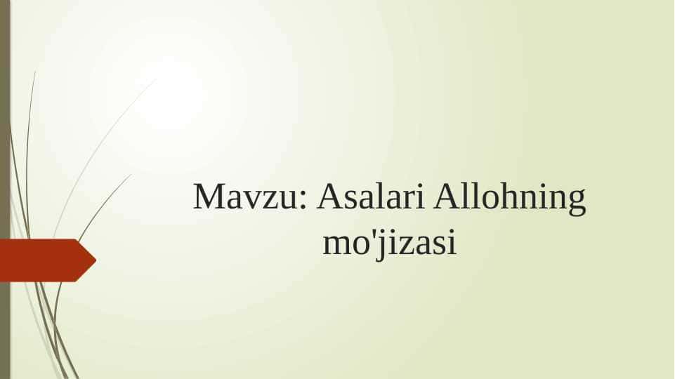 Asalari Allohning mo'jizasi