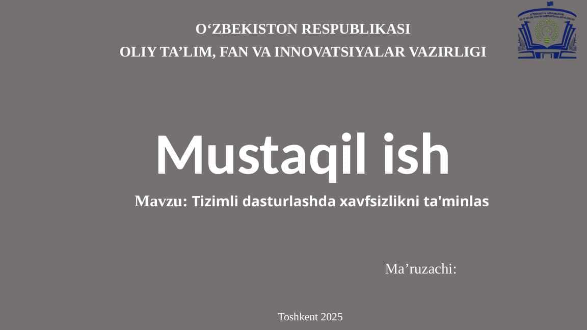 Tizimli dasturlashda xavfsizlikni ta'minlash
