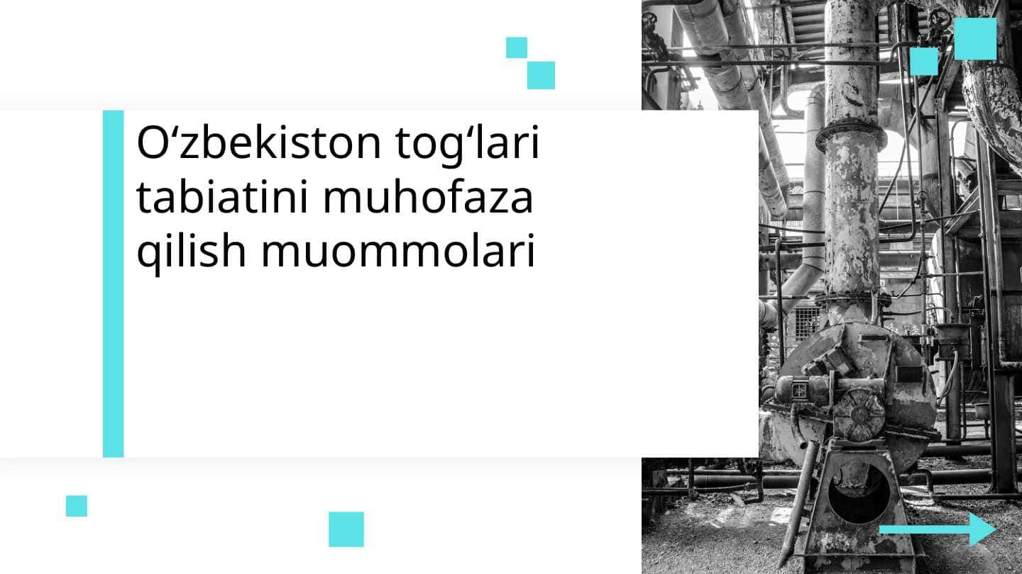 Oʻzbekiston togʻlari tabiatini muhofaza qilish muommolari