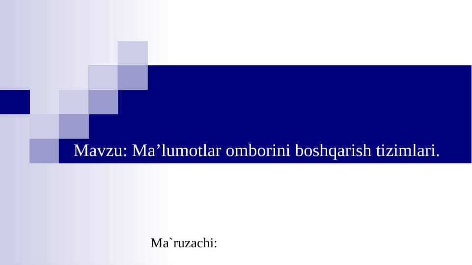 Ma’lumotlar omborini boshqarish tizimlari