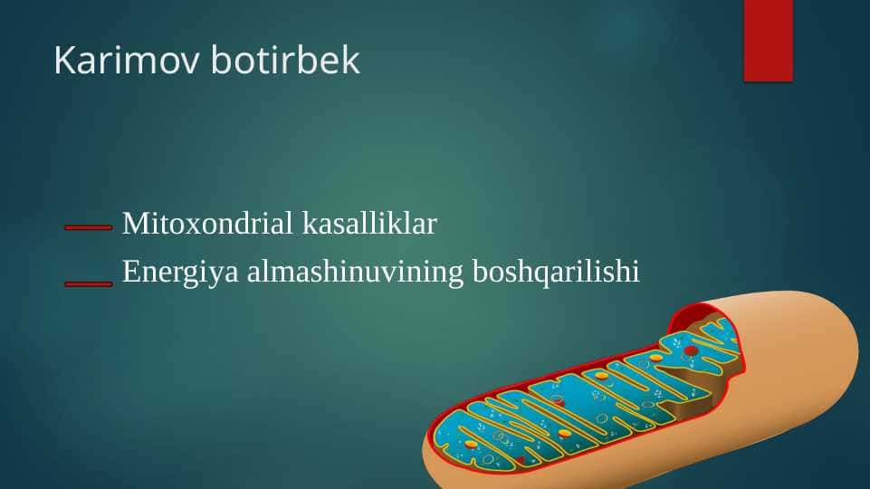 Mitoxondrial kasalliklar Energiya almashinuvining boshqarilishi