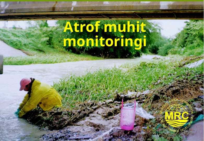 Atrof muhit monitoringi