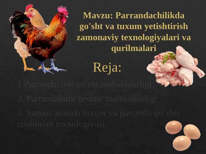 Parrandachilikda go'sht va tuxum yetishtirish zamonaviy texnologiyalari va qurilmalari