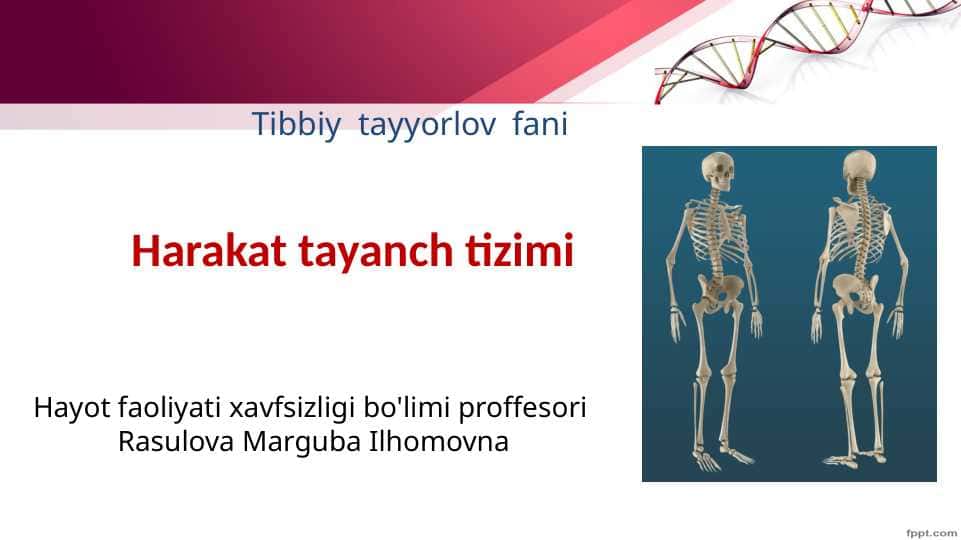 Mavzu :Harakat tayanch tizimi