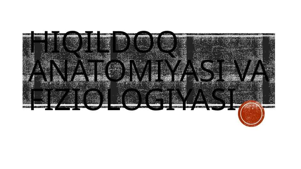 Hiqildoq anatomiya va fiziologiya