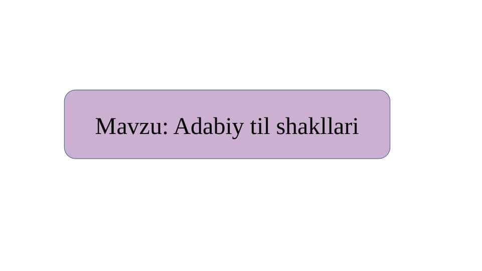 Adabiy til shakllari