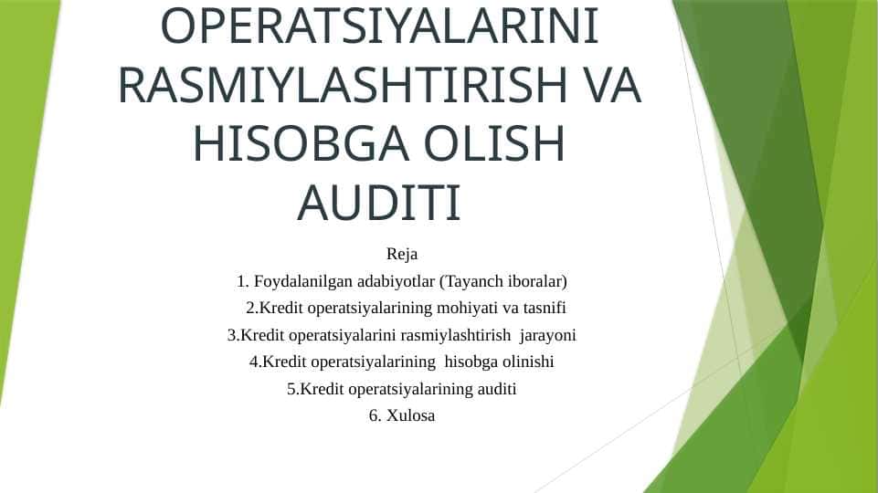 KREDIT OPERATSIYALARINI RASMIYLASHTIRISH VA HISOBGA OLISH AUDITI