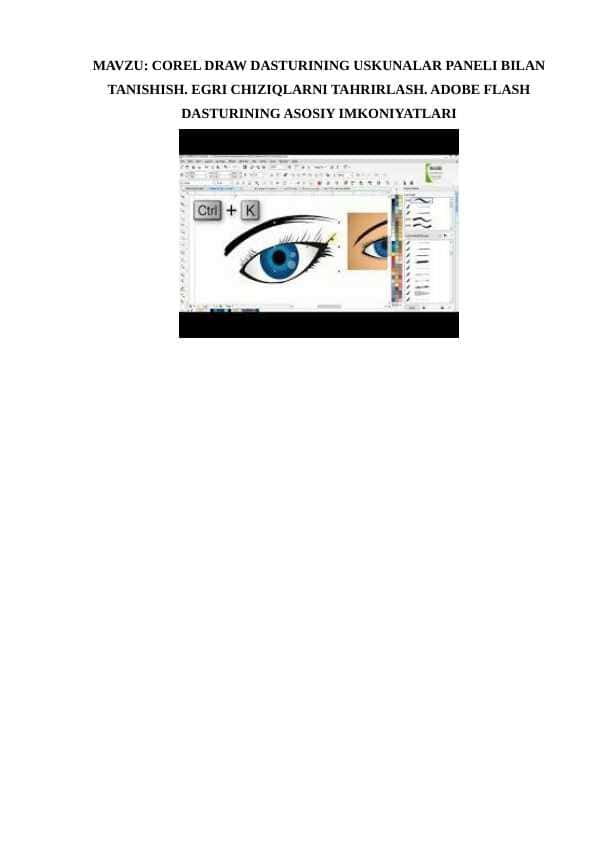 COREL DRAW DASTURINING USKUNALAR PANELI BILAN TANISHISH. EGRI CHIZIQLARNI TAHRIRLASH. ADOBE FLASH DASTURINING ASOSIY IMKONIYATLARI