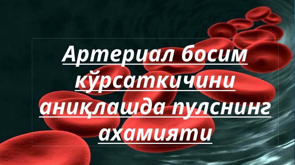 Артериал босим кўрсаткичини аниқлашда пулснинг ахамияти