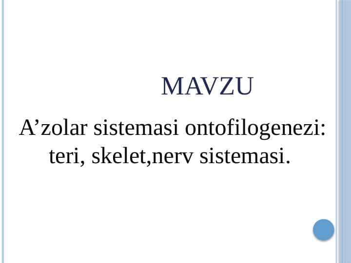 A’zolar sistemasi ontofilogenezi: teri, skelet,nerv sistemasi