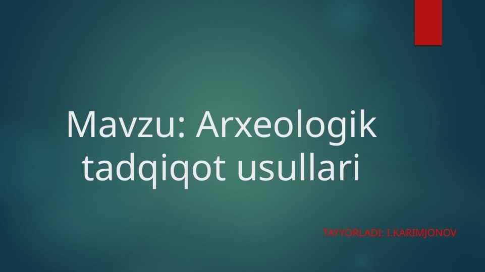 Arxeologik dala tadqiqotlari